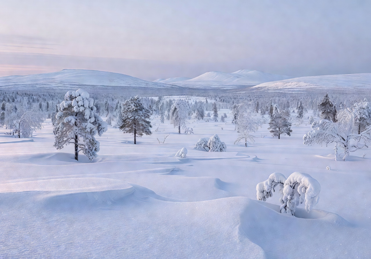 Snowy Lapland winter landscape